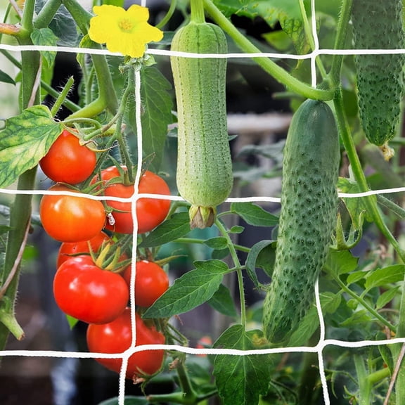 Garden Trellis Netting - 5.4 x 32.8ft,Heavy Duty Polyester Plant Support Netting Grow Net,Square Mesh for Grow Tents,Climbing,Fruits,Vegetables and Flower
