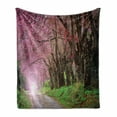 thumbnail image 1 of Japanese Garden Soft Flannel Fleece Throw Blanket, National Park in Chiang Mai Cherry Blossoms Spring Picture, Cozy Plush for Indoor and Outdoor Use, 70" x 90", Fuchsia Brown Fern Green, by Ambesonne, 1 of 6