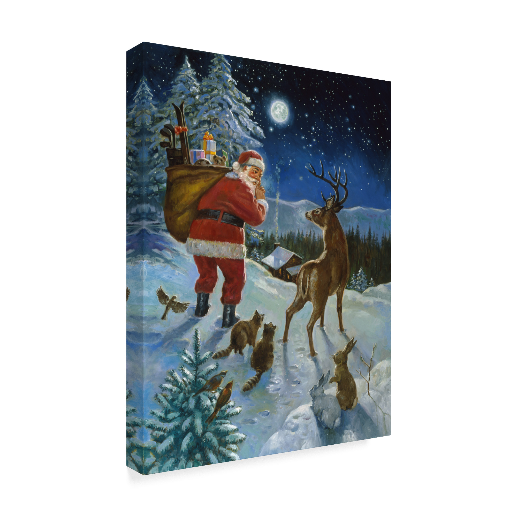 Trademark Fine Art 'Moonlight Delivery' Canvas Art by Hal Frenck