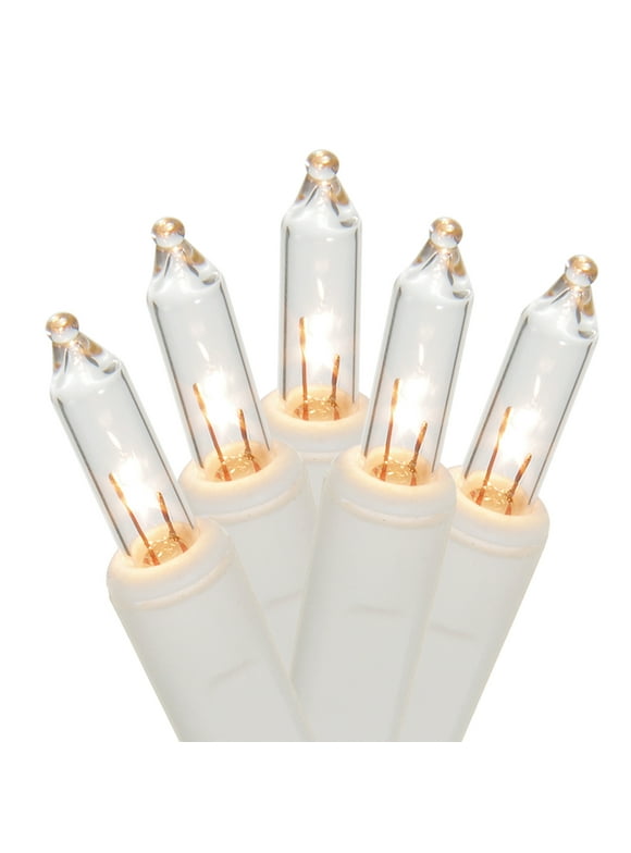 Holiday Christmas Lights