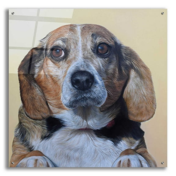 Epic Art 'Wiggles' by Sam Dolman, Acrylic Glass Wall Art, 36"x36"