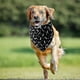thumbnail image 3 of Bandanas para perros 4 piezas; Bandana De Perro De Algodón Suave, Para Uso Diario, Bandanas Para Perros Niño, Lavable, 3 of 4