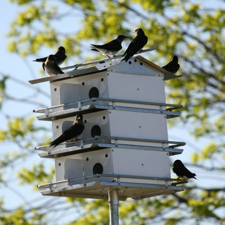 Birds Choice Coates Original Purple Martin Bird House
