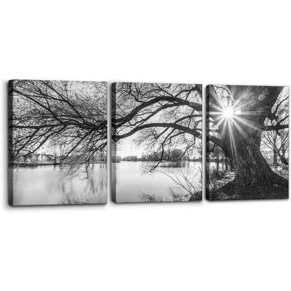 Hieng Abstract Canvas Wall Art, Painting Prints, Feather Pictures Modern Wall Decor for Living Room Bedroom Office Home Decor -(Only canvas)