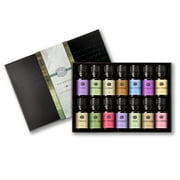 Favorites Set of 14 Fragrance Oils - Premium Grade Scented Oil - 10ml