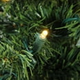 thumbnail image 2 of Northlight Pre-Lit Medium Mixed Classic Pine Artificial Christmas Tree - 6' - Warm Clear LED Lights, 2 of 4