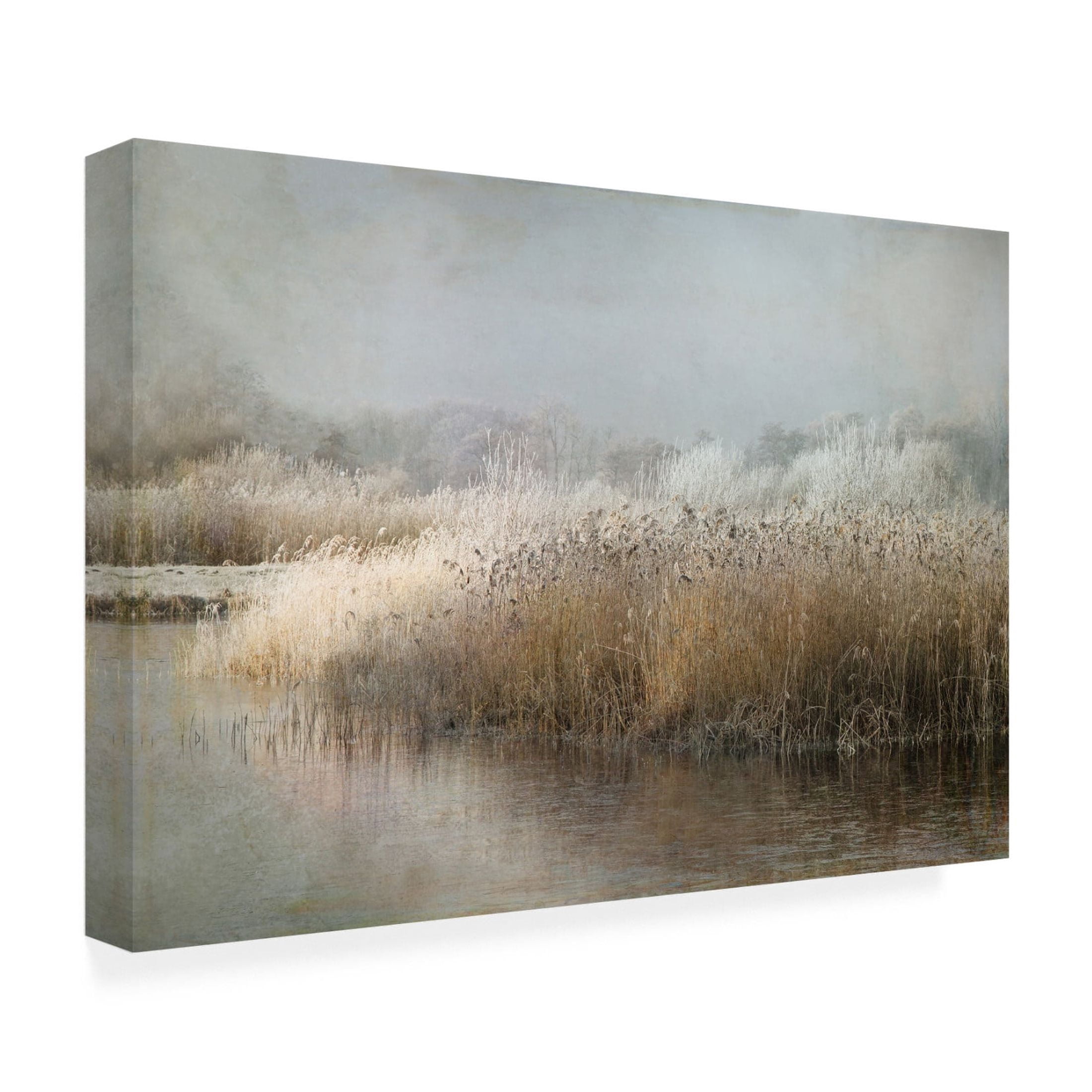 Canvas Wall Art - Nel Talen 'Wintermorning' Wall Art for Living Room, Bedroom, or Office D?cor by Trademark Fine Art - 47 x 30 Inches