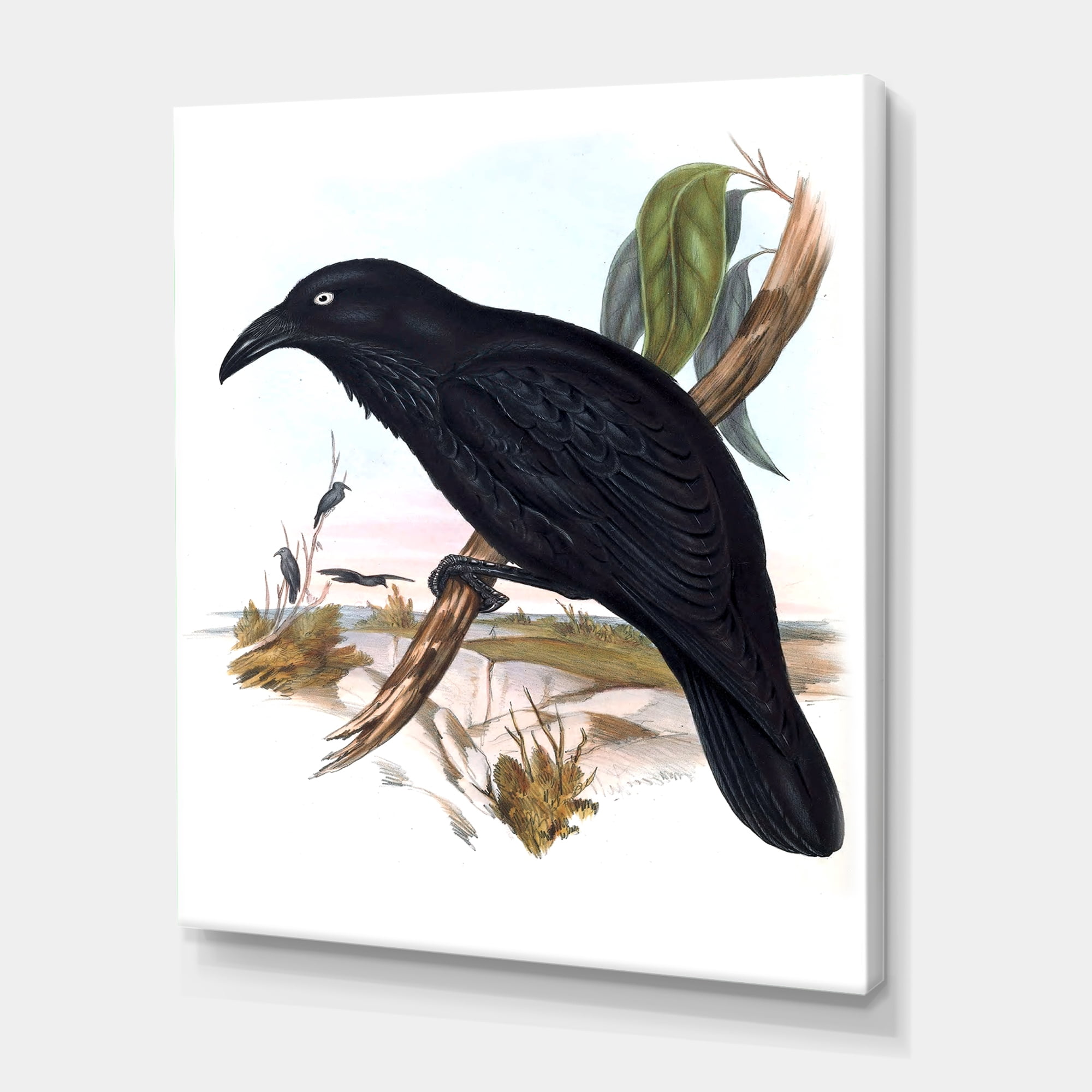 Designart ' Ancient Australian Birds VI ' Traditional Canvas Wall Art Print