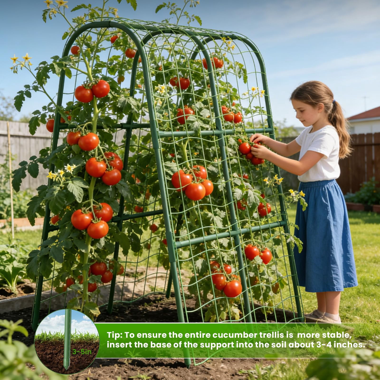 Cucumber Trellis For Raised Bed  U-shape Garden Climbing Plants Outdoor Metal Arch Vegetables Plant Support Grape Vine Beans Squash Peas Flower