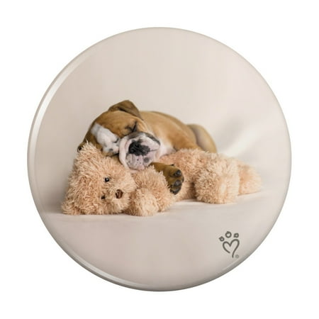 

British Bulldog Puppy Dog Asleep with Teddy Bear Kitchen Refrigerator Locker Button Magnet