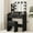 Black, variant on TEQIN Vanity Desk with Mirror and Lights,Makeup Vanity with Outlets & 2 Drawers,Open Shelves, Cushioned Stool,Vanity with 3-Color Adjustable Lighting, Makeup Vanity for Bedroom