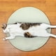 thumbnail image 5 of Almohadilla de hielo para mascotas | Alfombrilla refrescante de seda de hielo transpirable para perros y gatos | Cómodo material polar | Perfecto para primavera y verano | Uso en interiores y, 5 of 6