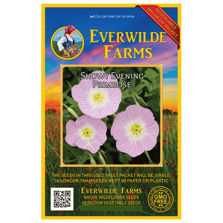 Everwilde Farms - 2000 Showy Evening Primrose Native Wildflower Seeds - Gold Vault Jumbo Bulk Seed