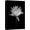 BS09-FORAL-NA14, variant on wall26 Canvas Print Wall Art Blooming Water Lily Flower Close Up Nature Plants Photography Modern Art Rustic Scenic Dramatic Black and White for Living Room, Bedroom, Office - 12"x18"