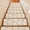 Beige, variant on Beige Coral Stair Treads Non Slip for Steps Coastal Ocean Beach Summer Nautical Modern 4 Pcs Reusable Adhesive Stair Runner Mats for Dogs Elders Carpet Treads Rugs for Staircase 8x30 In