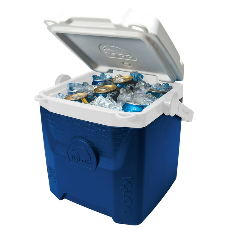 Igloo quantum 12 cooler 2025