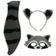 thumbnail image 1 of BRIGHTFUFU 1 Juego de disfraces de mapache, accesorios de animales para Cosplay, diadema con orejas, máscara y cola, 1 of 8