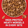 thumbnail image 3 of Purina ONE Small Bites Natural Dog Food, Beef and Rice Formula, 16.5 lb, 3 of 12