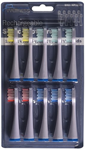 wellness hp10tx replacement heads