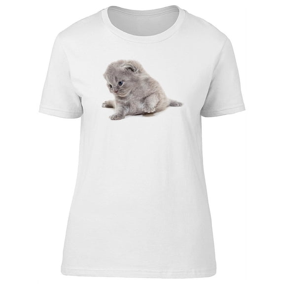 Beautiful Furry Baby Kitten Tee Women's -Image by Shutterstock
