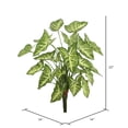 thumbnail image 2 of Vickerman 22" Artificial Green Syngonium Bush., 2 of 3