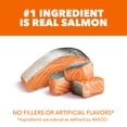thumbnail image 3 of IAMS Proactive Health Adult Dry Cat Food With Real Salmon, Adult Cat Food Dry, 22 lb., 3 of 10