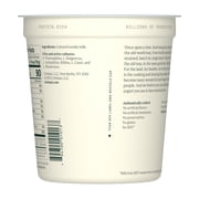 Chobani Non-Fat Greek Yogurt Plain 32 oz Tub