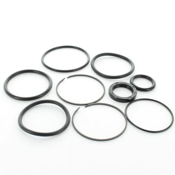 OMC Cobra Sterndrive Motor Tilt & Trim Cylinder Seal Kit 0985060 985060