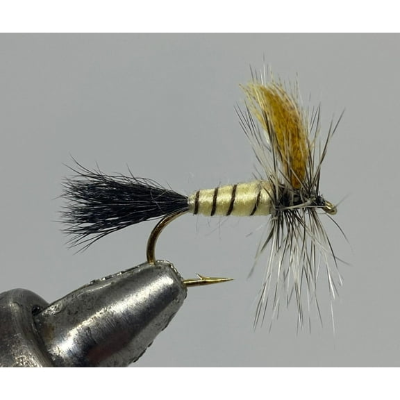 One Dozen (12) - Eastern Green Drake - Dun