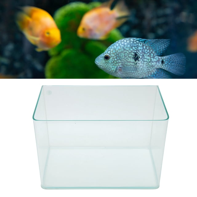 Tanque de Peces Betta ANGGREK Acuario de Plástico Transparente sin Marco