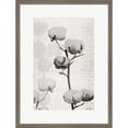 thumbnail image 1 of Great Art Now Cotton Stem 1 by Denise Brown, Framed Wall Art, 16.5W x 22H, 1 of 2