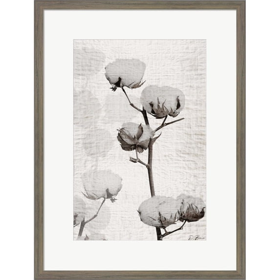Great Art Now Cotton Stem 1 by Denise Brown, Framed Wall Art, 16.5W x 22H