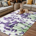 thumbnail image 2 of Fsddascl Botanical Lavender Outdoor Rug for Patio/Deck/Porch, Non-Slip Large Area Rug 5 x 8 Ft, Spring Budding Flowers Florals Indoor Outdoor Rugs Washable Area Rugs, Reversible Camping Rug Carpet, 2 of 5