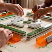 Maison Lude Limited Edition 160-Piece Mahjong Set with Wildlife Design