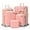 Sakura Pink-5 piece set, variant on Zimtown 5 Piece Sets Luggage Suitcase ABS Hardside with Spinner Wheels and TSA Lock, Blue