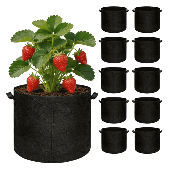 12 Pack 5 Gallon Grow Bags, Thickened 300G Non-Woven Fabric Plant Pots with Reinforced Handles, Breathable Aeration Fabric Containers for Vegetables, Flowers, and Herbs, Black