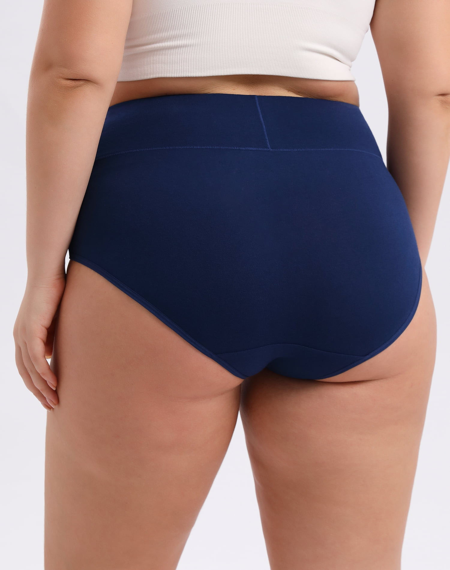 INNERSY Women's Plus Size XL-5XL Cotton Underwear High Waisted Briefs  Panties 4-Pack (2XL,Beige) 