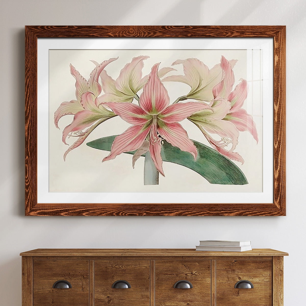 Amaryllis Varietals I-Premium Framed Print - Ready to Hang