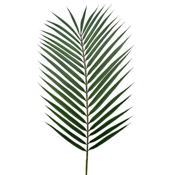 MDR Trading Inc. AI-FL1440GRN_Q01 Palm Frond Faux Plants And Trees