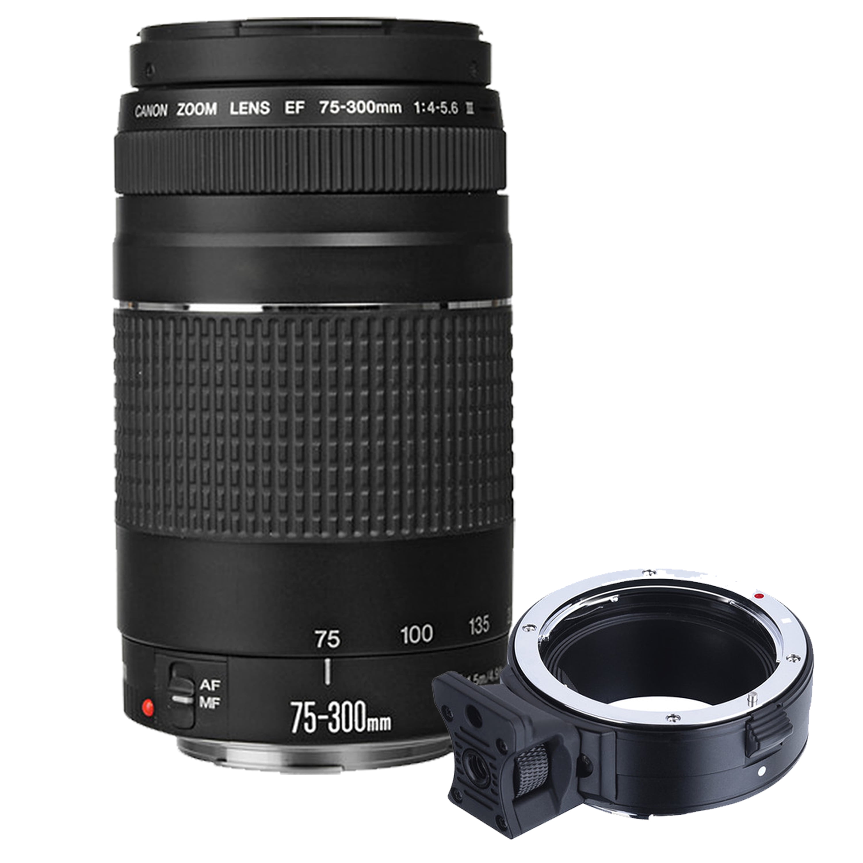 Canon EOS R6 Mirrorless Digital Camera with RF 50mm f/1.8