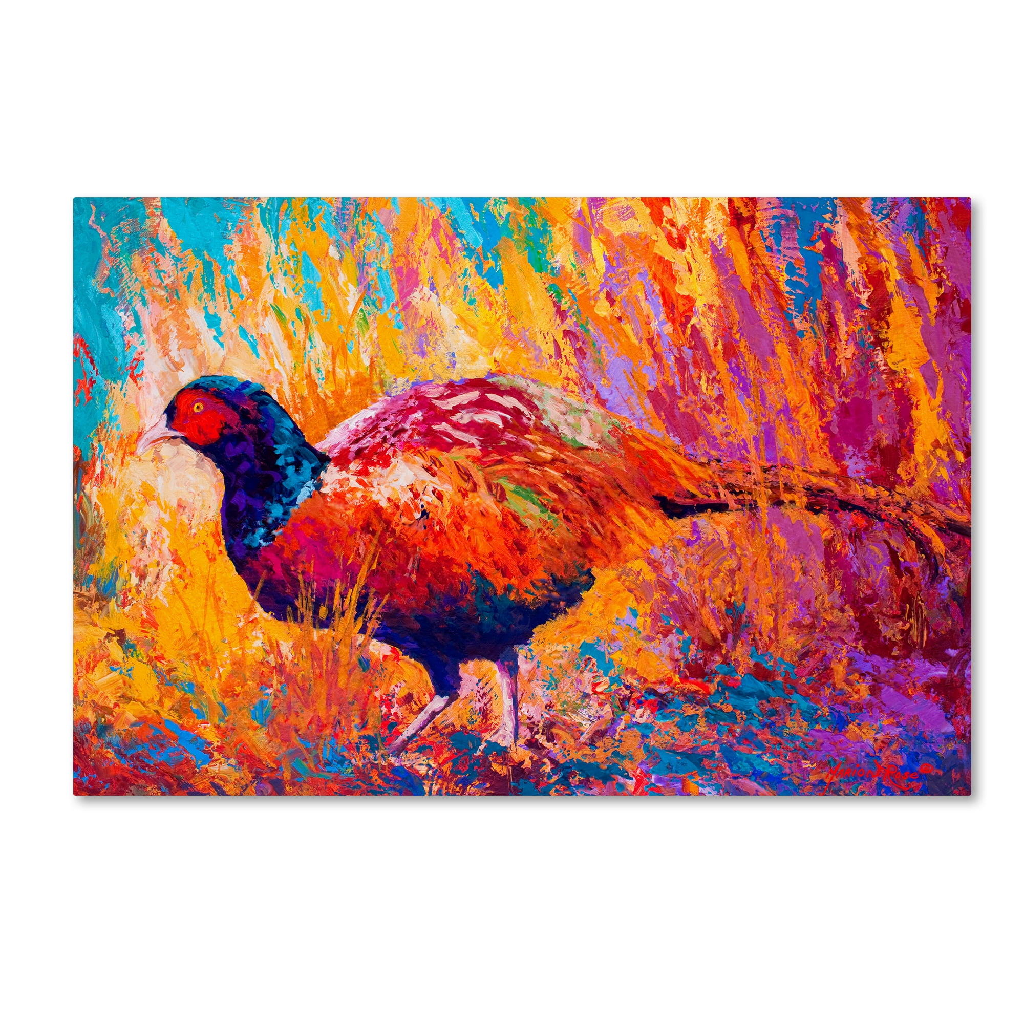 Trademark Fine Art 'Pheasant' Canvas Art by Marion Rose - Walmart.com