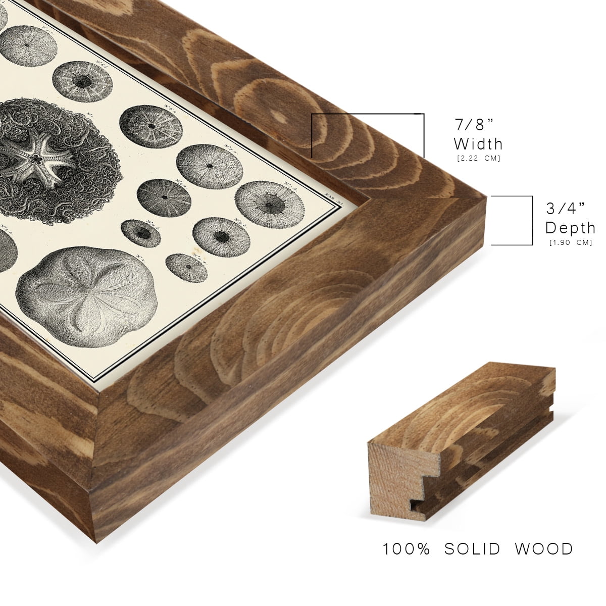 Aegean Collection I -Framed Print w/glass-Walnut