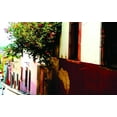 thumbnail image 1 of Warren Mexico IX Wall Decal, 1 of 2