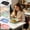 Beige, variant on Yyuenw Plastic Divided Plates, 9.8 x 7.2 inches Minimalist Design, Food-Safe Material, Suitable for Home, School and Office Use