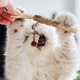 thumbnail image 5 of Juguete masticable para gatos Geluode Silvervine con hierba gatera, 4 unidades, 5 of 7