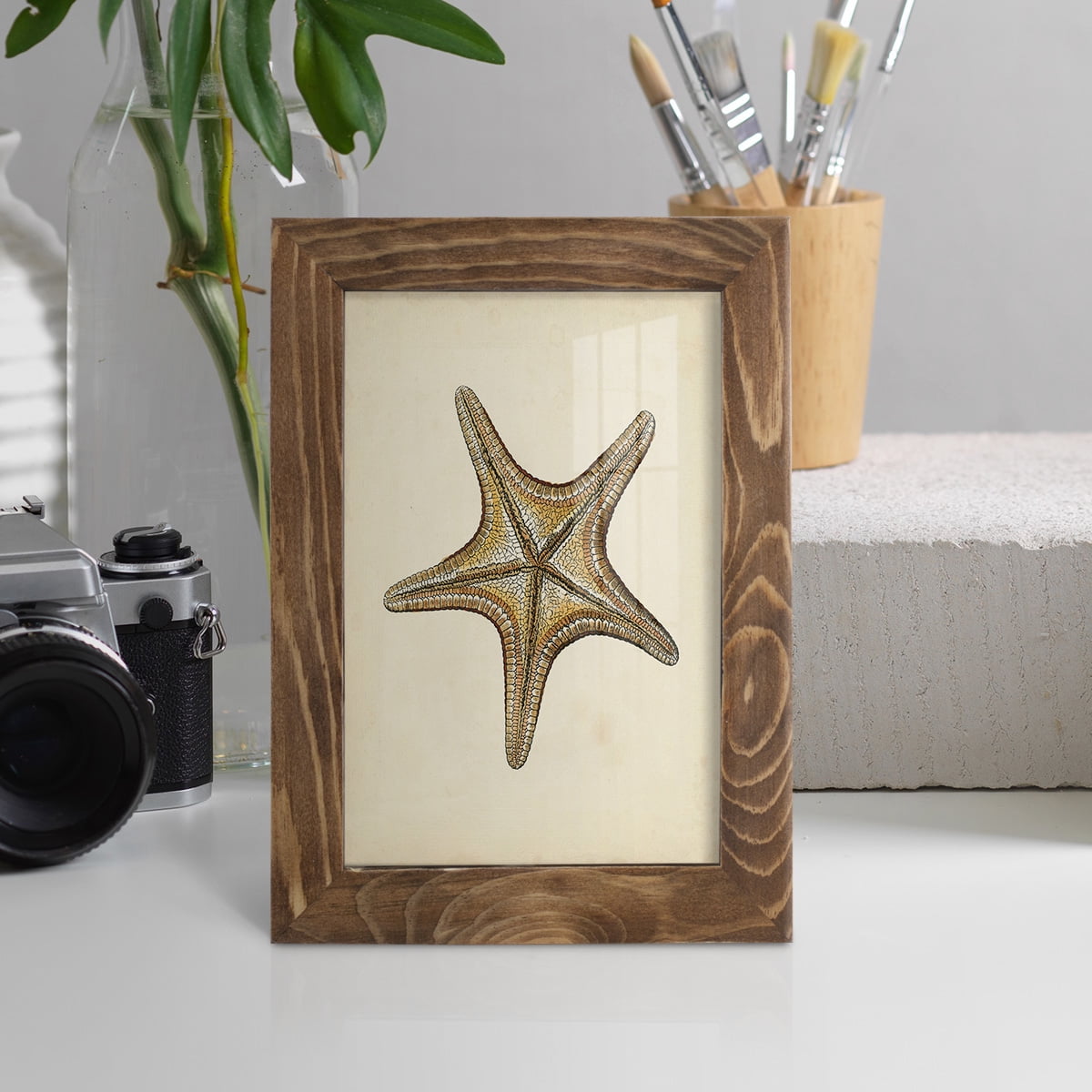 Sealife Collection IV - Framed Print w/glass - Walnut