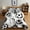 Black and White, variant on Twin Sports Comforter Set Black Ball Bedding Sets for Boys Girls Kids Teen 3D Soccer Basketball Baseball Football Design 5Pcs Bed in A Bag