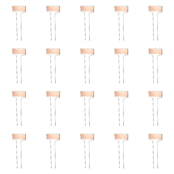 syligr Copper Plant Markers 20-Pack, Weather-Resistant Garden Labels for Herb Vegetable Garden, Reusable Metal Plant Tags with Marking Pen, Garden Stakes for Outdoor Indoor Potted Plants,4 Inch