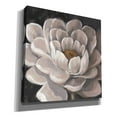 thumbnail image 2 of Epic Graffiti 'Neutral Fleur I' by Tim O'Toole, Canvas Wall Art, 12"x12", 2 of 2