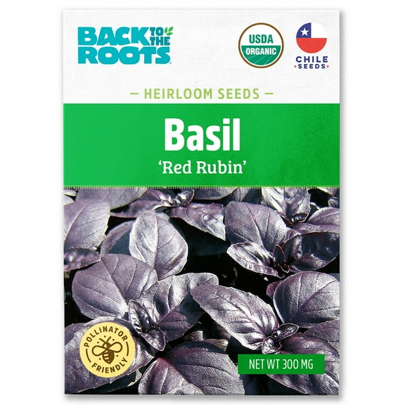 Back to the Roots Organic Basil 'Red Rubin', 1 Seed packet